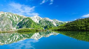 tenichi 様の画像